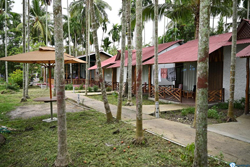 placid garden resort andaman