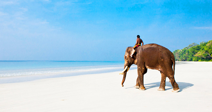 Andaman Tour Packages